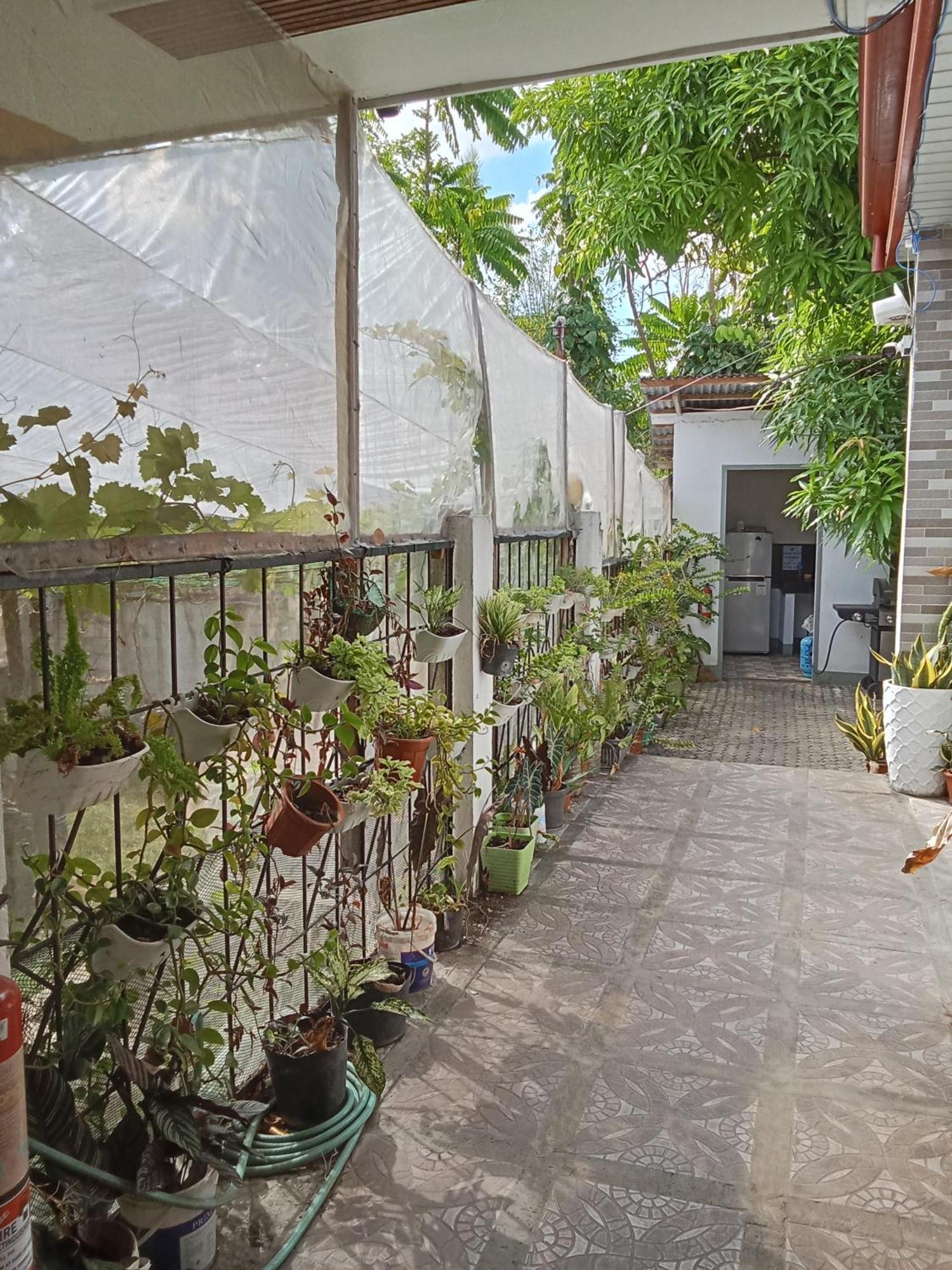 Yoo Darius' Residences モアルボアル エクステリア 写真